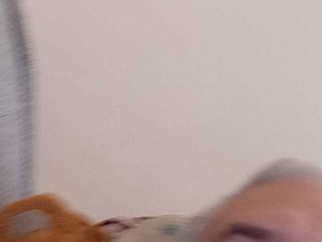 CuddleBear live