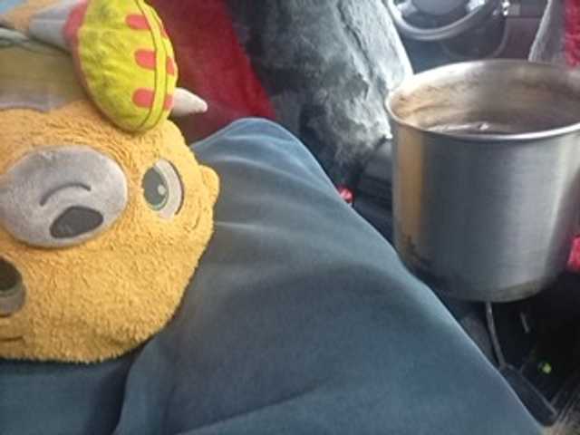 CuddleBear