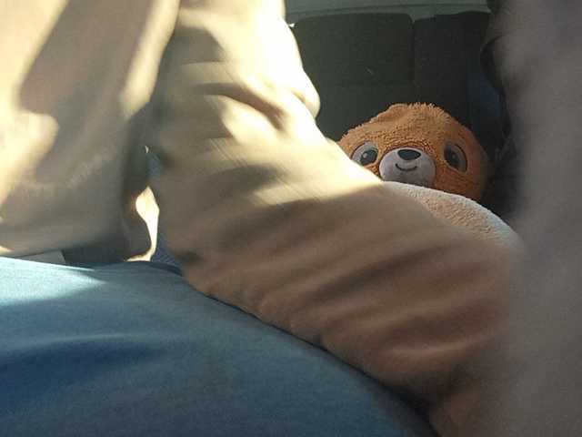 CuddleBear