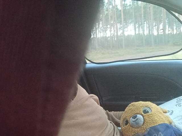 CuddleBear