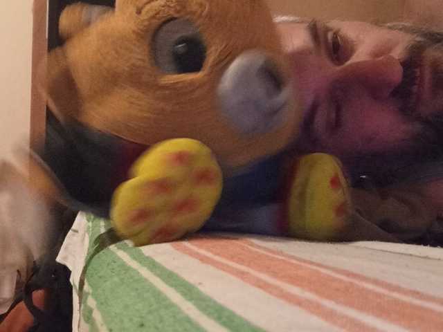 CuddleBear