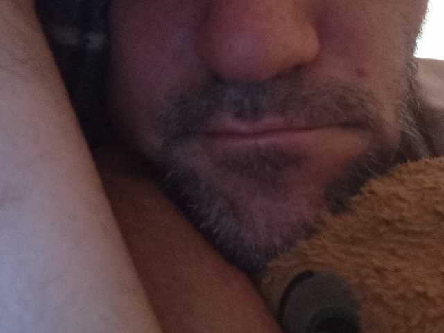 CuddleBear
