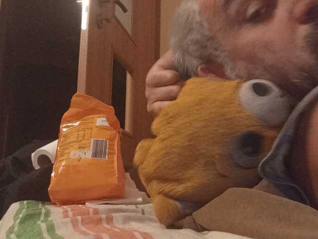 CuddleBear