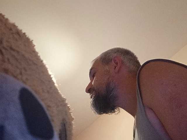 CuddleBear