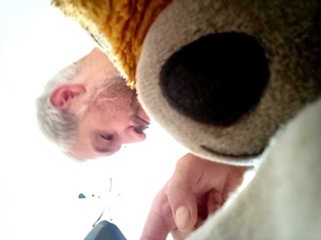 CuddleBear
