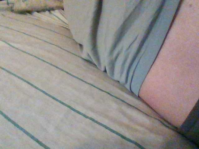 CuddleBear