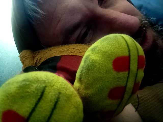 CuddleBear