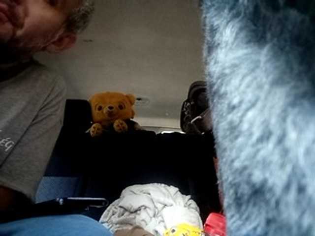 CuddleBear