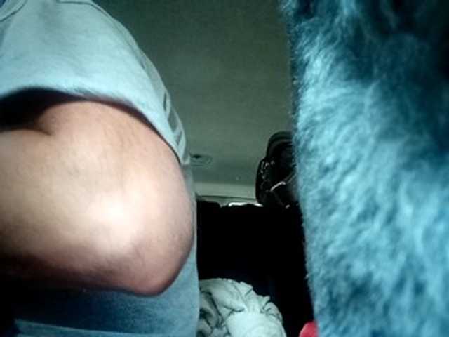 CuddleBear