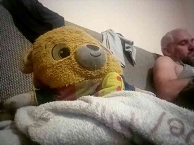 CuddleBear