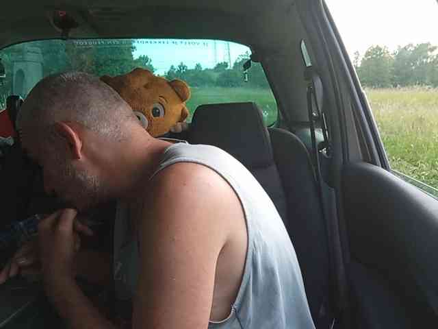 CuddleBear