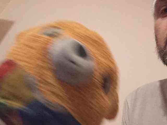 CuddleBear Sex Cam Show