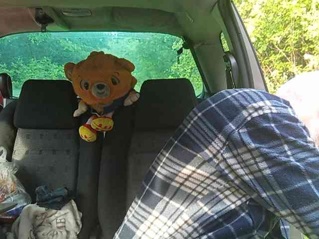 CuddleBear