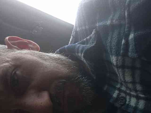 CuddleBear