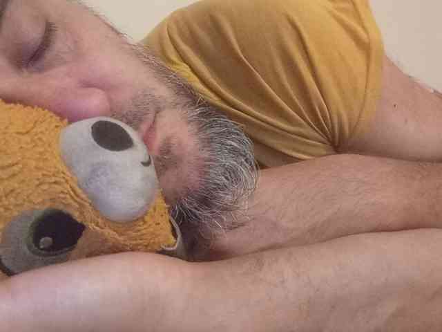 CuddleBear
