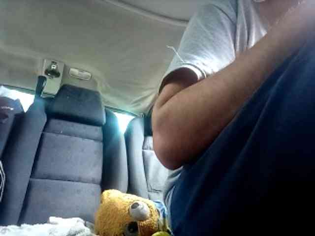 CuddleBear