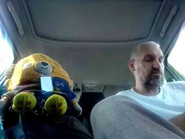 CuddleBear CuddleBear