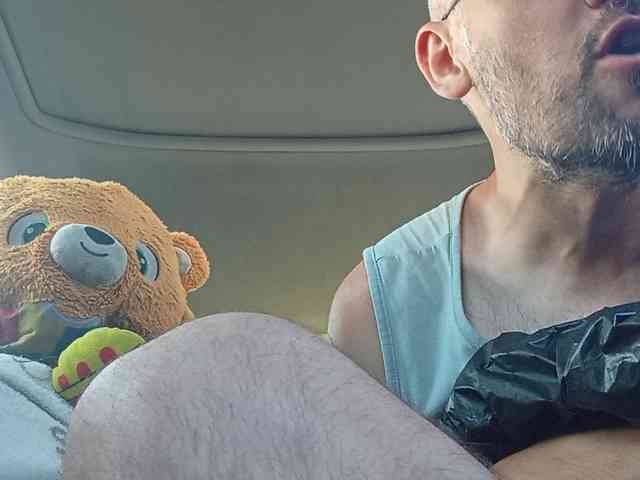 CuddleBear