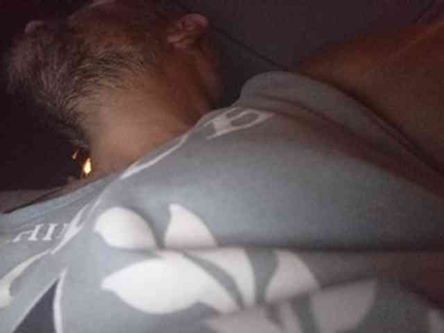 CuddleBear