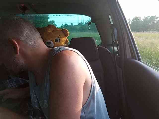 CuddleBear