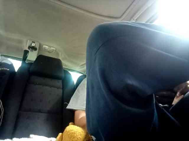 CuddleBear