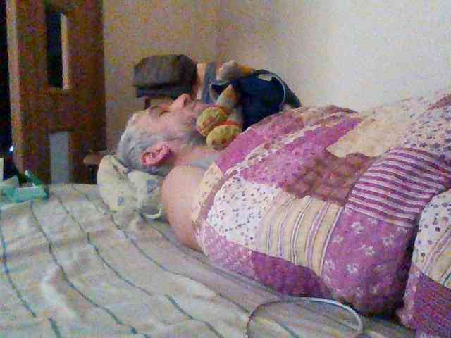CuddleBear