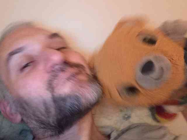 CuddleBear