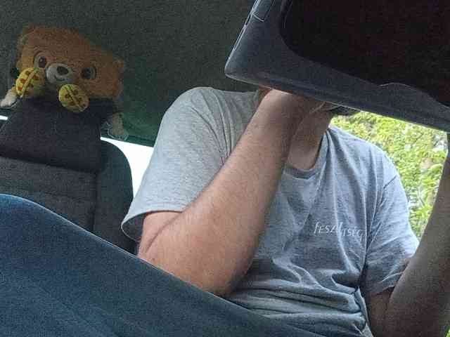 CuddleBear