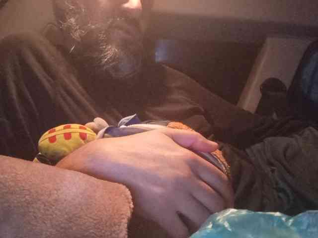 CuddleBear