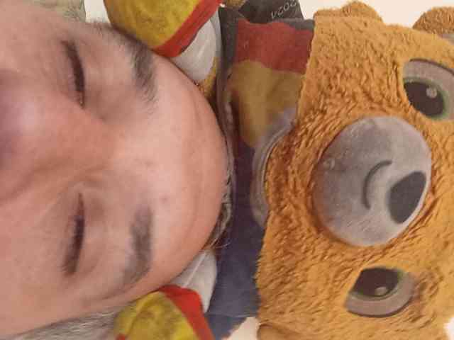 CuddleBear
