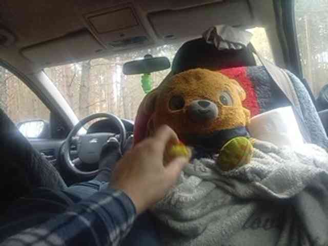 CuddleBear