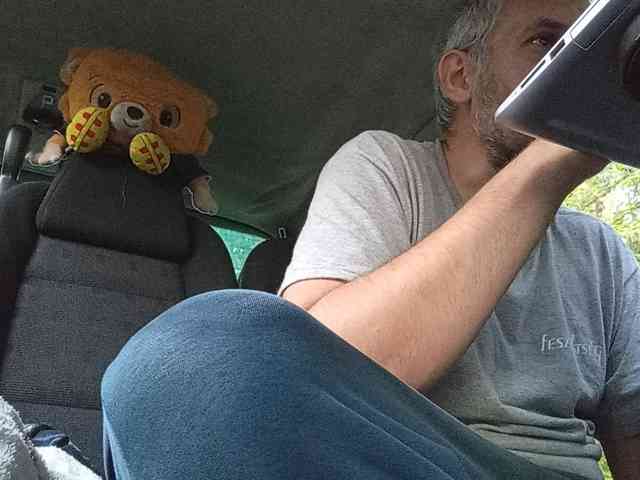 CuddleBear
