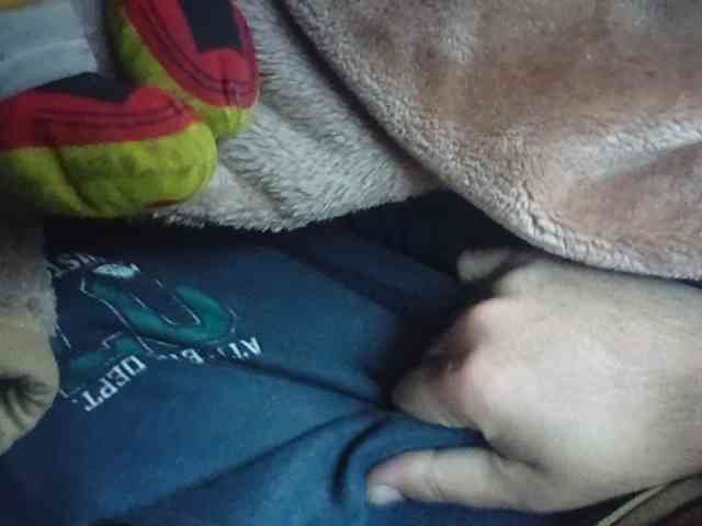 CuddleBear