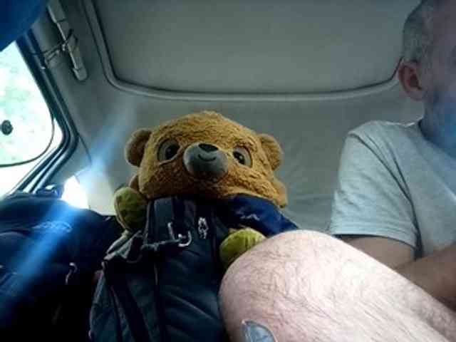 CuddleBear