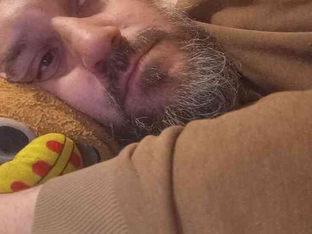 CuddleBear