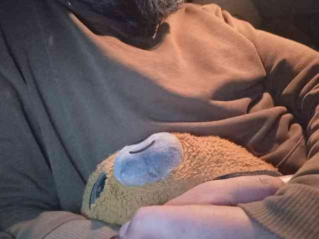 CuddleBear