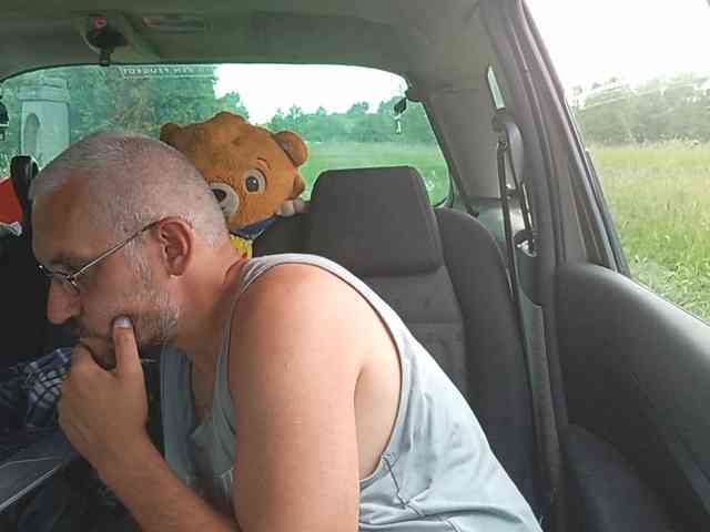 CuddleBear
