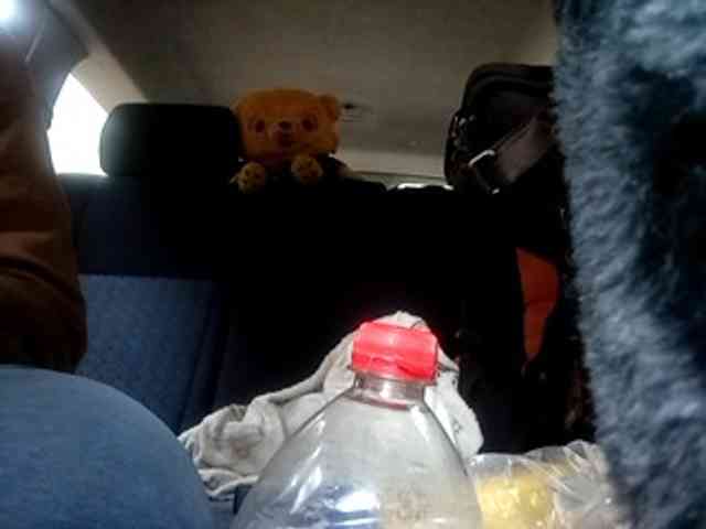 CuddleBear