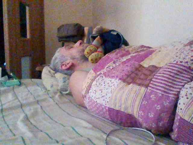CuddleBear