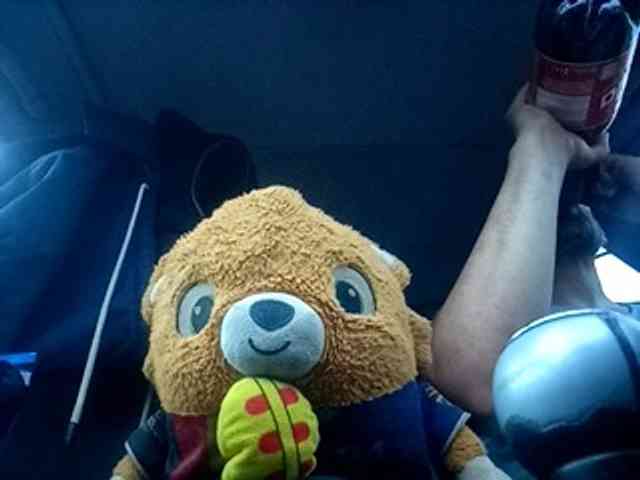 CuddleBear