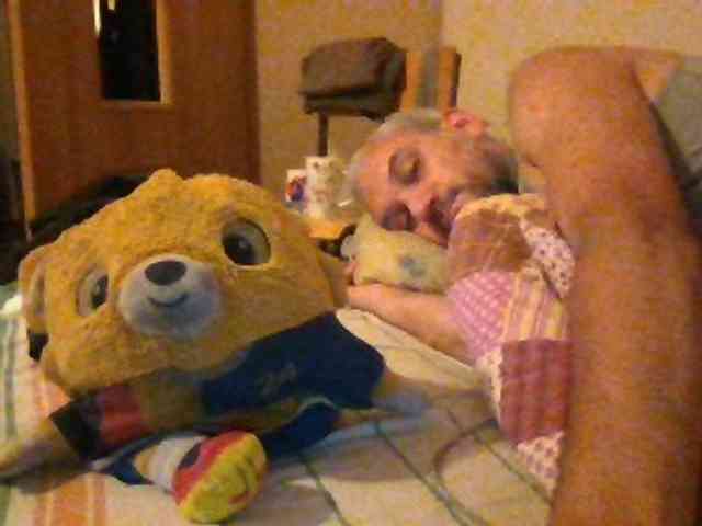CuddleBear