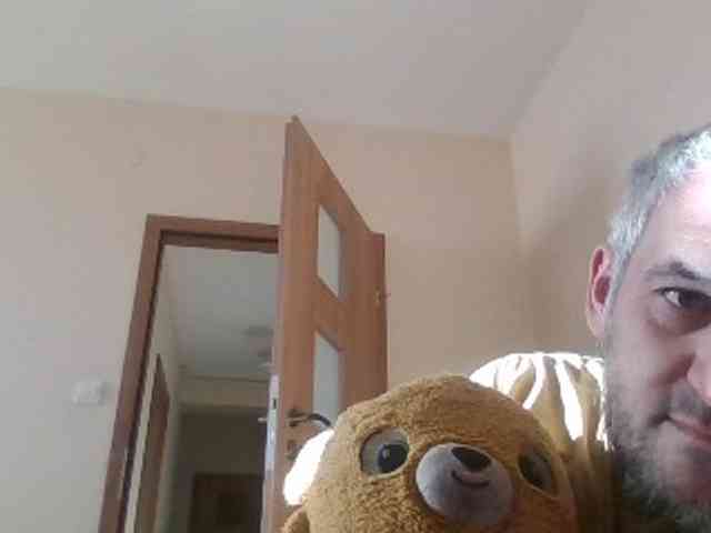 CuddleBear