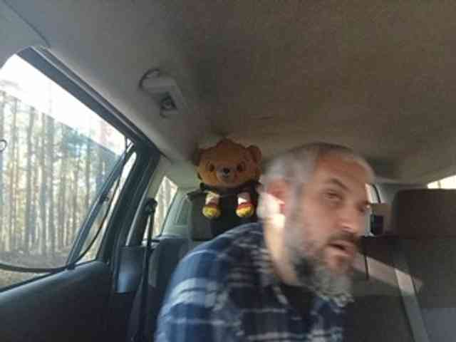 CuddleBear