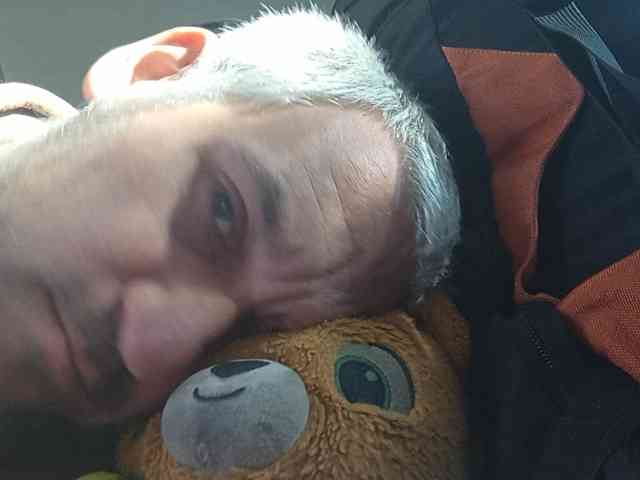 CuddleBear