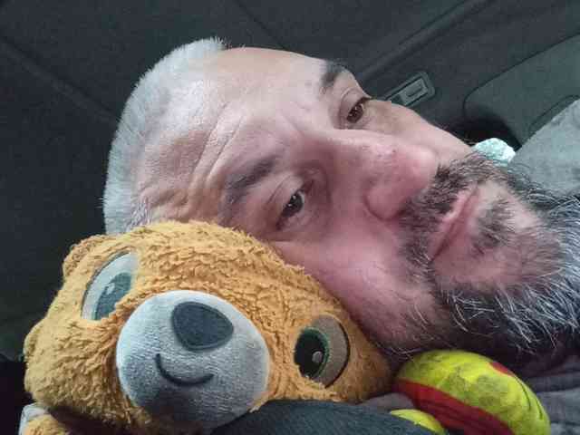 CuddleBear