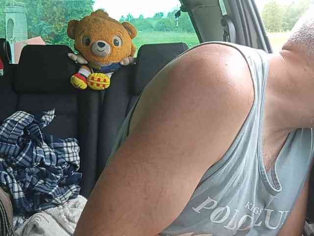 CuddleBear