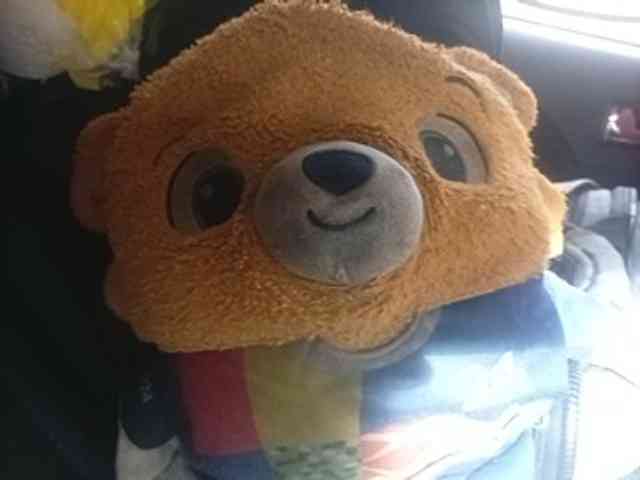 CuddleBear