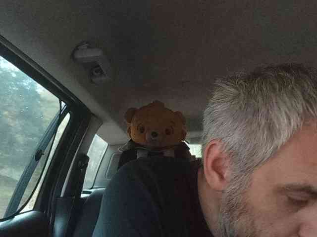 CuddleBear