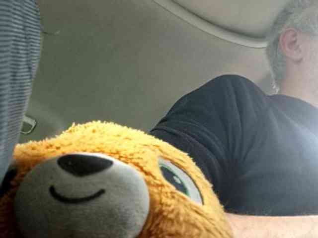 CuddleBear