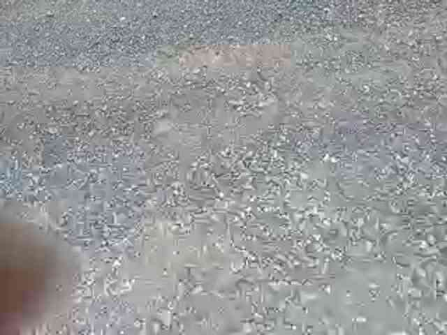 CuddleBear Live Webcam on BongaCams